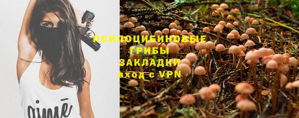винт Вязьма